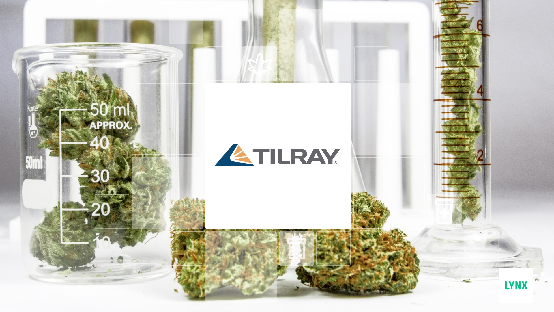 Logo společnosti Tilray